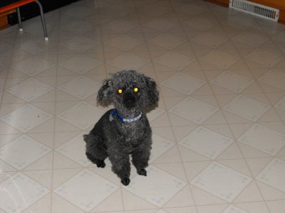 ./2009/Nigel/thumbnigel